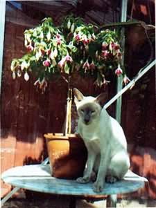 In the greenhouse